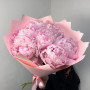 7 розовых пионов
